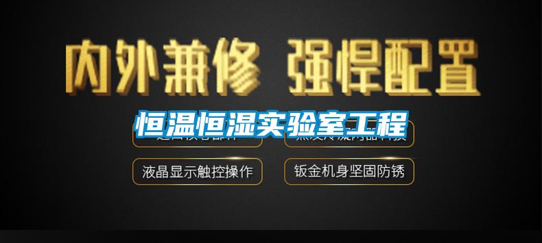 恒溫恒濕實(shí)驗(yàn)室工程