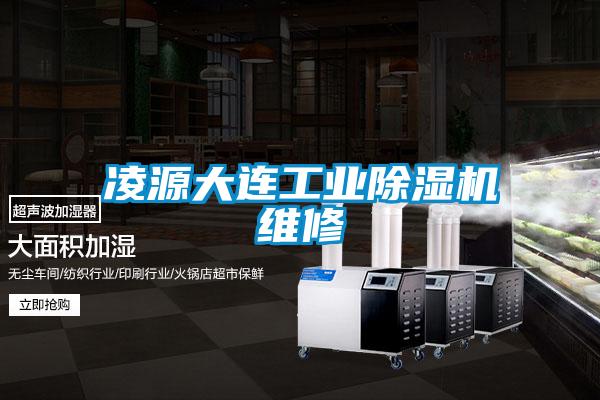 凌源大連工業(yè)除濕機(jī)維修