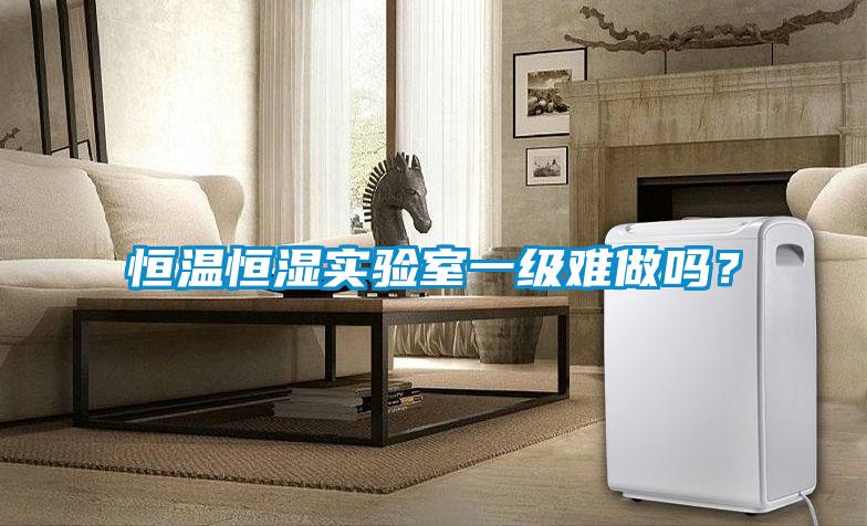 恒溫恒濕實驗室一級難做嗎？