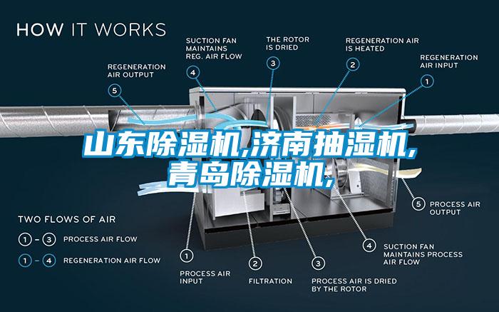 山東除濕機,濟南抽濕機,青島除濕機,