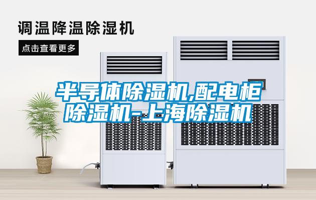 半導體除濕機,配電柜除濕機-上海除濕機