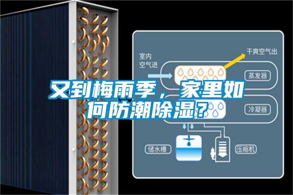 又到梅雨季，家里如何防潮除濕？
