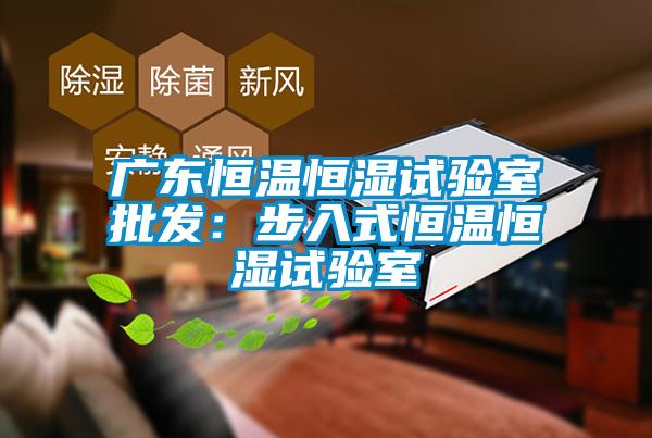 廣東恒溫恒濕試驗室批發：步入式恒溫恒濕試驗室