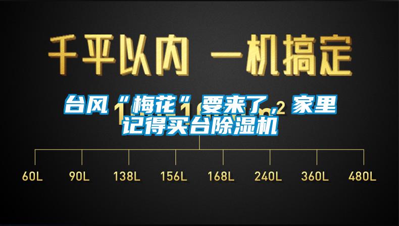 臺風“梅花”要來了，家里記得買臺除濕機