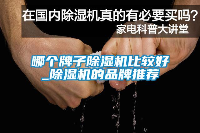 哪個牌子除濕機比較好_除濕機的品牌推薦