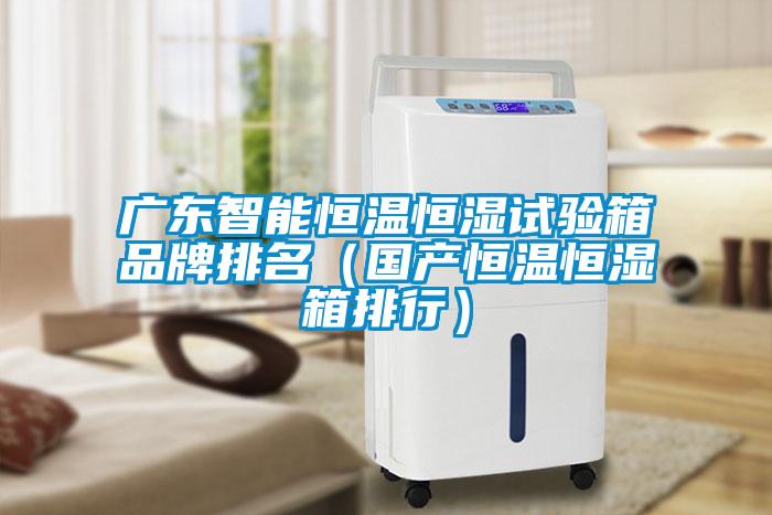 廣東智能恒溫恒濕試驗箱品牌排名（國產恒溫恒濕箱排行）