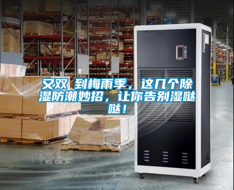 又雙叒到梅雨季，這幾個(gè)除濕防潮妙招，讓你告別濕噠噠！