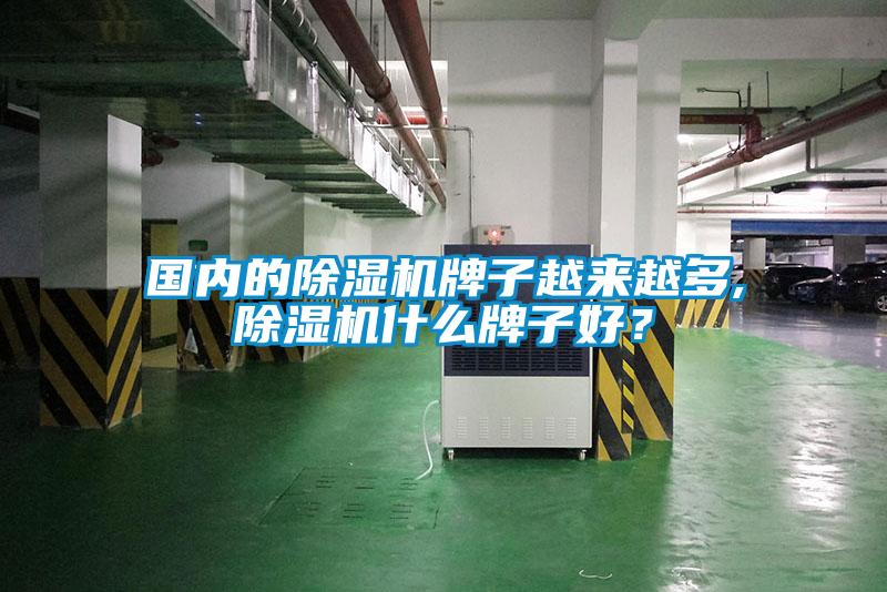 國內(nèi)的除濕機(jī)牌子越來越多,除濕機(jī)什么牌子好？