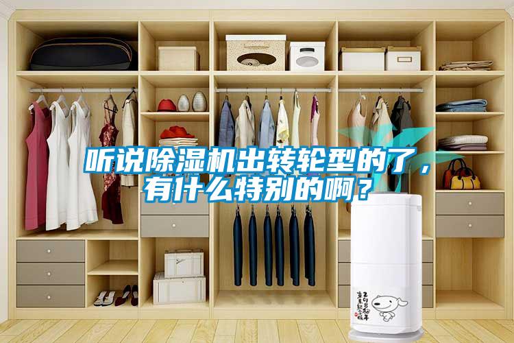 聽說除濕機出轉(zhuǎn)輪型的了，有什么特別的啊？
