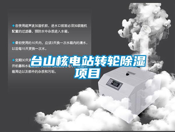 臺山核電站轉輪除濕項目