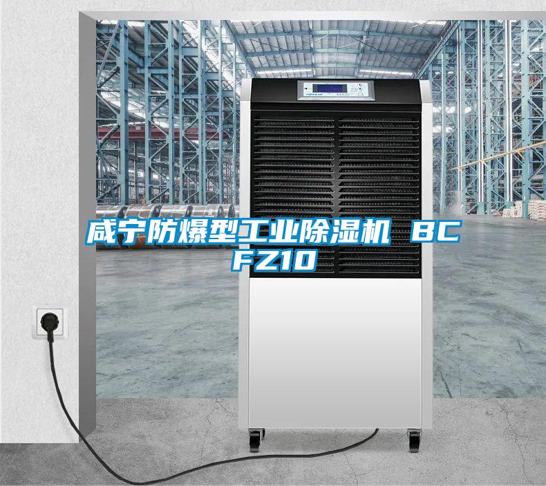 咸寧防爆型工業(yè)除濕機 BCFZ10