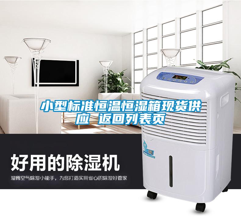 小型標準恒溫恒濕箱現貨供應 返回列表頁