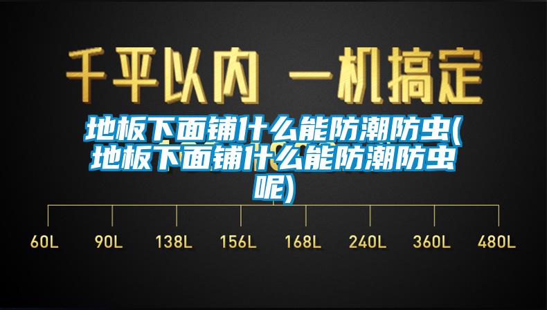 地板下面鋪什么能防潮防蟲(地板下面鋪什么能防潮防蟲呢)