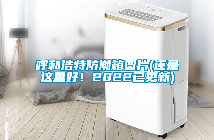 呼和浩特防潮箱圖片(還是這里好！2022已更新)