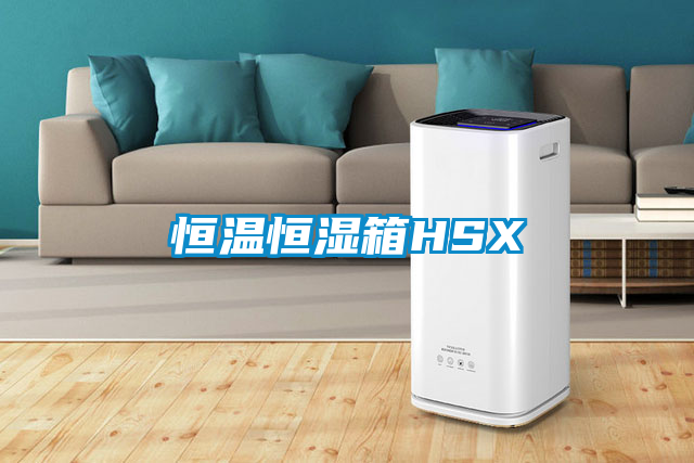 恒溫恒濕箱HSX