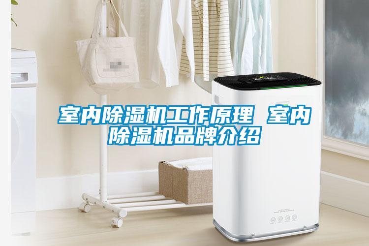 室內除濕機工作原理 室內除濕機品牌介紹