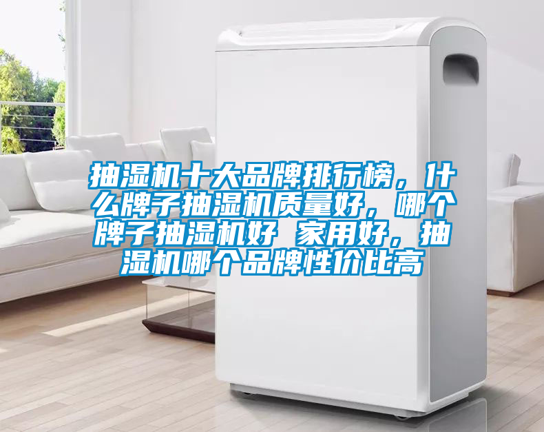 抽濕機十大品牌排行榜，什么牌子抽濕機質(zhì)量好，哪個牌子抽濕機好 家用好，抽濕機哪個品牌性價比高