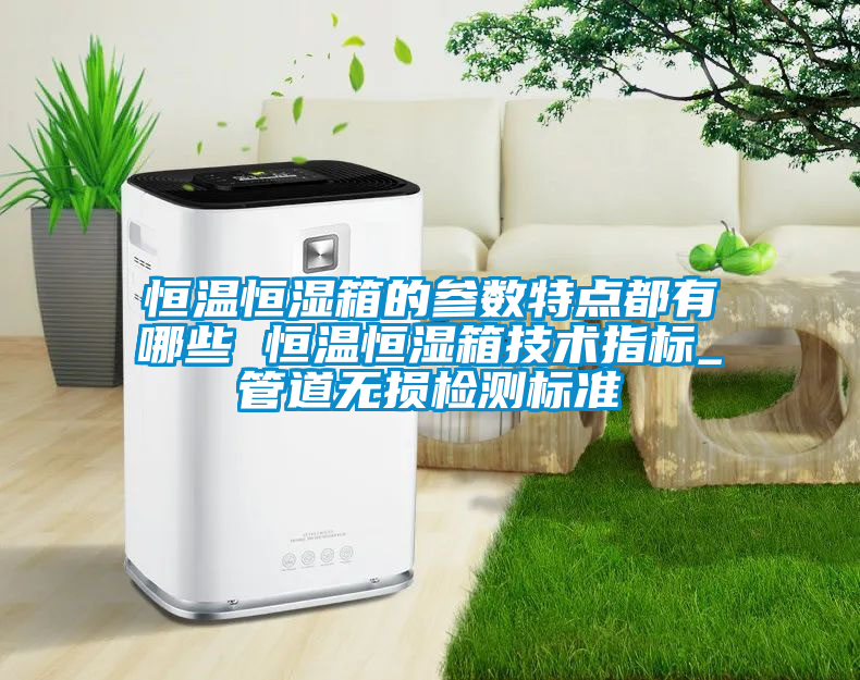 恒溫恒濕箱的參數特點都有哪些 恒溫恒濕箱技術指標_管道無損檢測標準