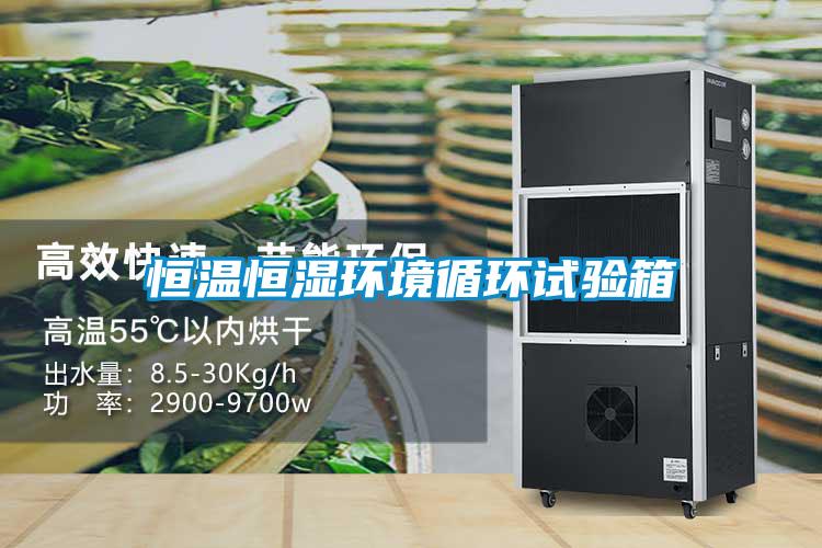 恒溫恒濕環(huán)境循環(huán)試驗(yàn)箱