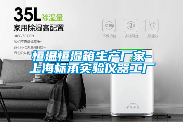 恒溫恒濕箱生產廠家-上海標承實驗儀器工廠