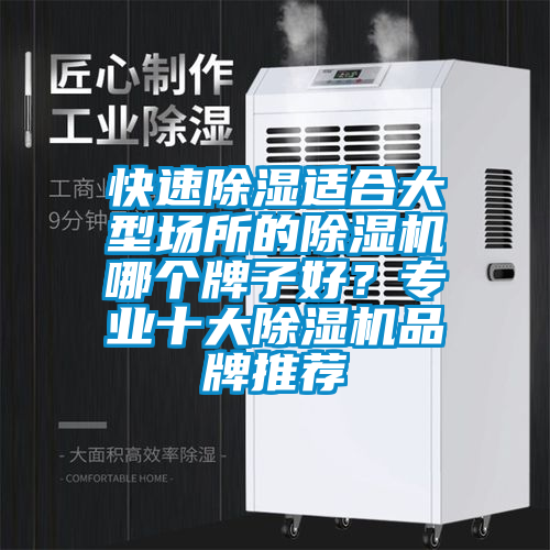 快速除濕適合大型場所的除濕機哪個牌子好？專業十大除濕機品牌推薦
