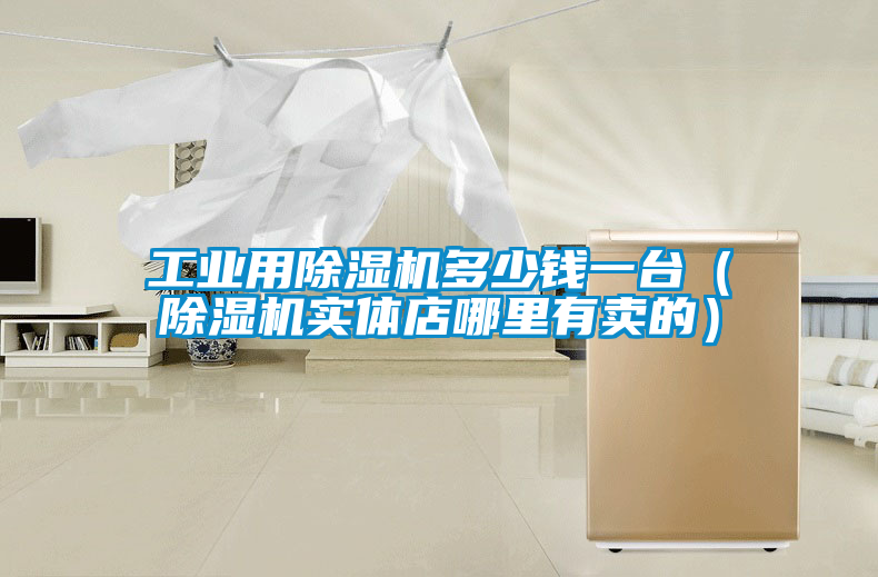 工業用除濕機多少錢一臺（除濕機實體店哪里有賣的）