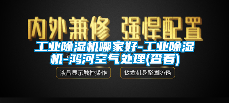 工業(yè)除濕機(jī)哪家好-工業(yè)除濕機(jī)-鴻河空氣處理(查看)