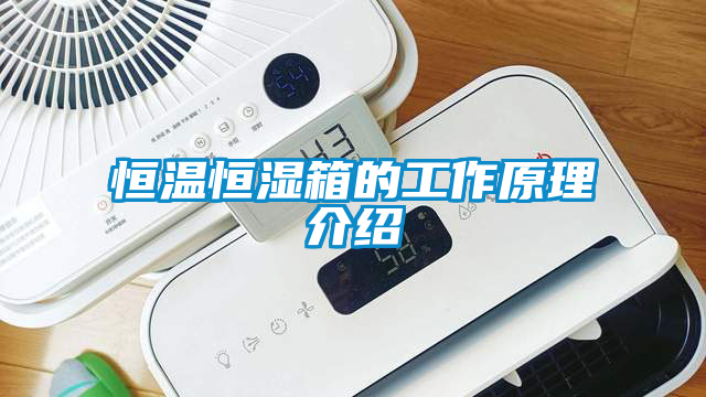 恒溫恒濕箱的工作原理介紹