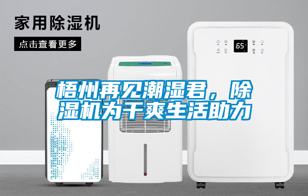 梧州再見潮濕君，除濕機為干爽生活助力