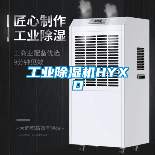 工業(yè)除濕機(jī)HYXD