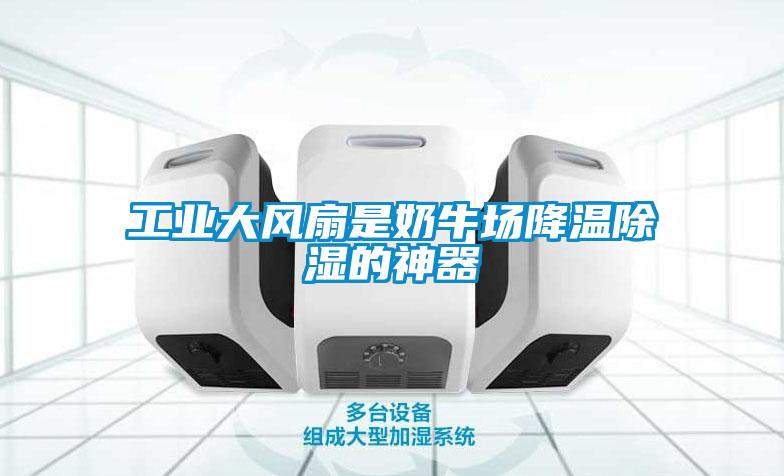 工業大風扇是奶牛場降溫除濕的神器