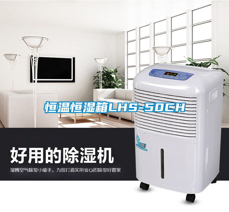 恒溫恒濕箱LHS-50CH