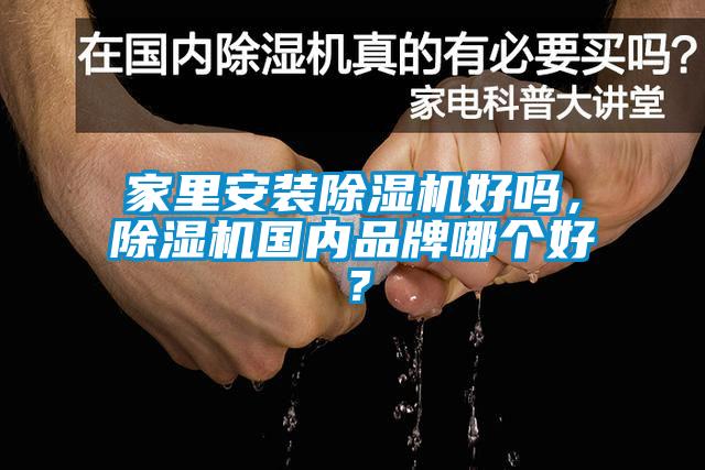 家里安裝除濕機好嗎，除濕機國內品牌哪個好？