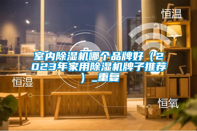 室內除濕機哪個品牌好（2023年家用除濕機牌子推薦）_重復