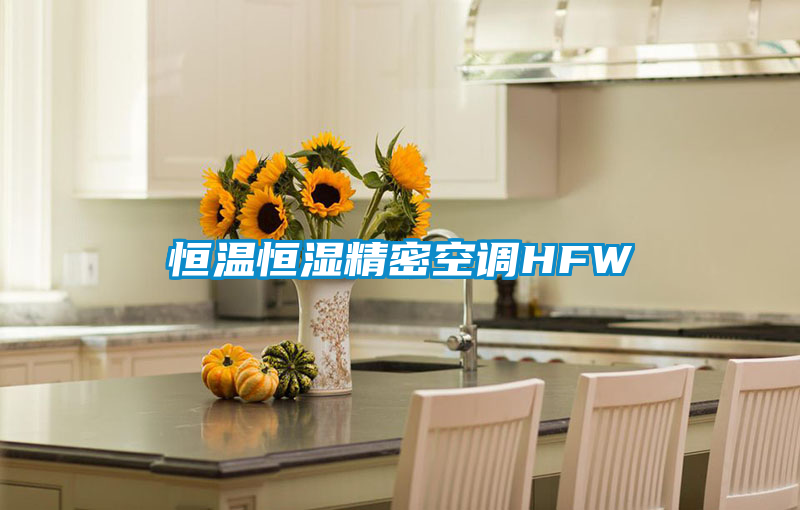 恒溫恒濕精密空調(diào)HFW