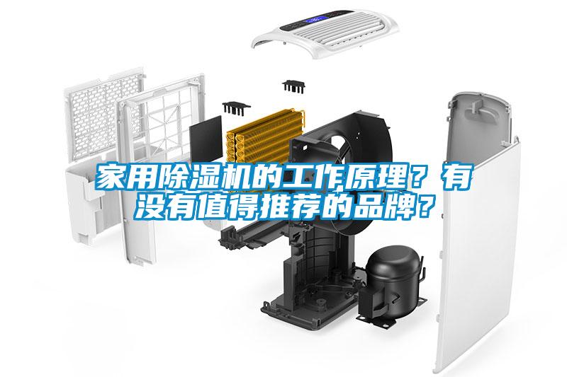 家用除濕機的工作原理？有沒有值得推薦的品牌？