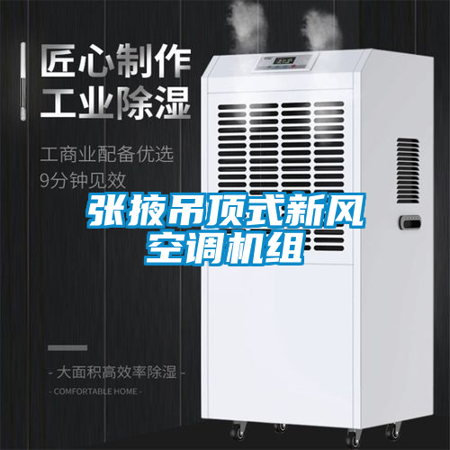 張掖吊頂式新風(fēng)空調(diào)機組