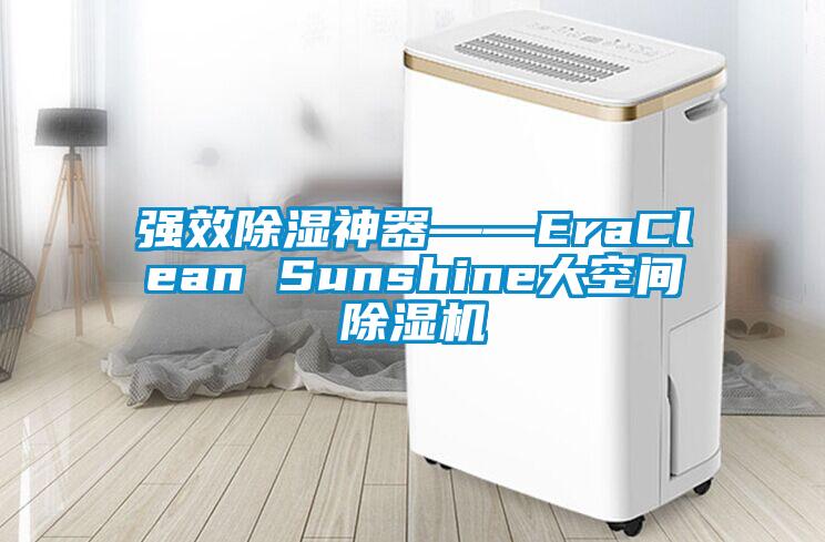 強(qiáng)效除濕神器――EraClean Sunshine大空間除濕機(jī)