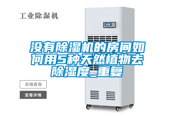 沒有除濕機的房間如何用5種天然植物去除濕度_重復