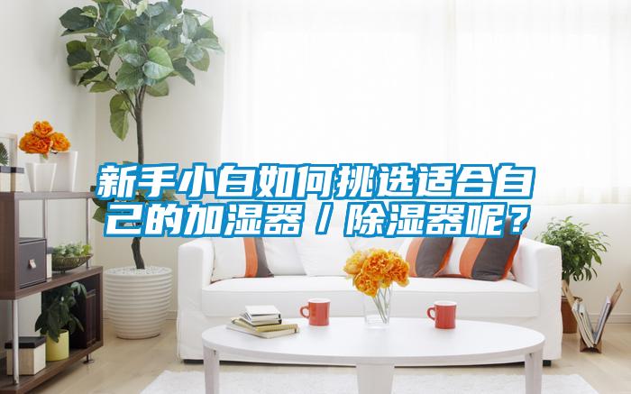 新手小白如何挑選適合自己的加濕器／除濕器呢？