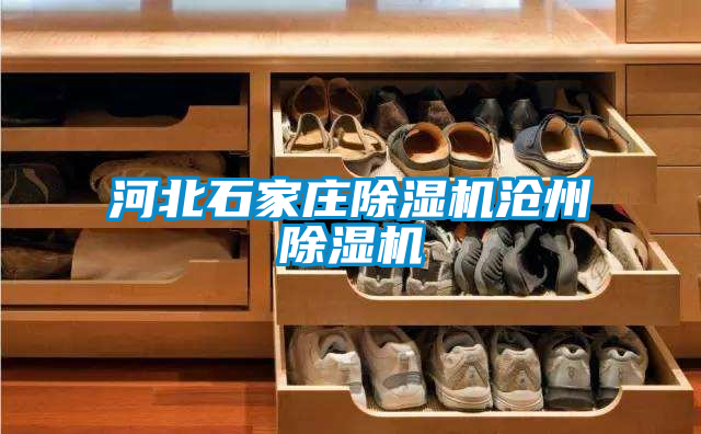 河北石家莊除濕機滄州除濕機