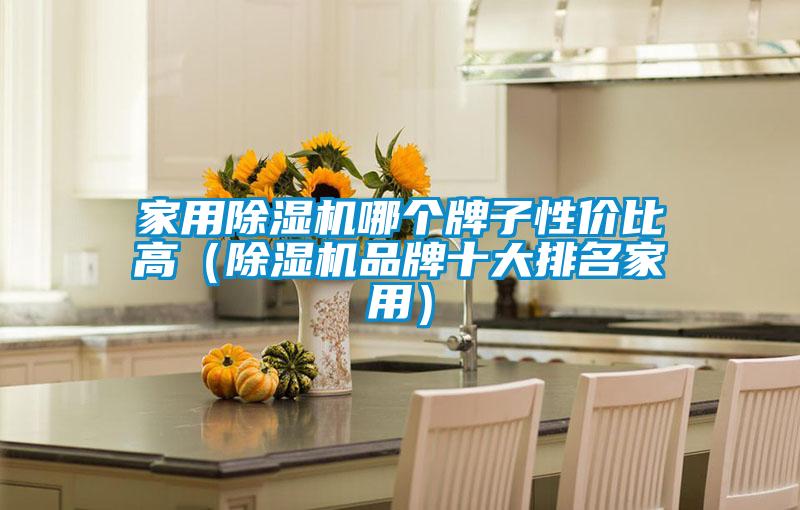 家用除濕機哪個牌子性價比高（除濕機品牌十大排名家用）