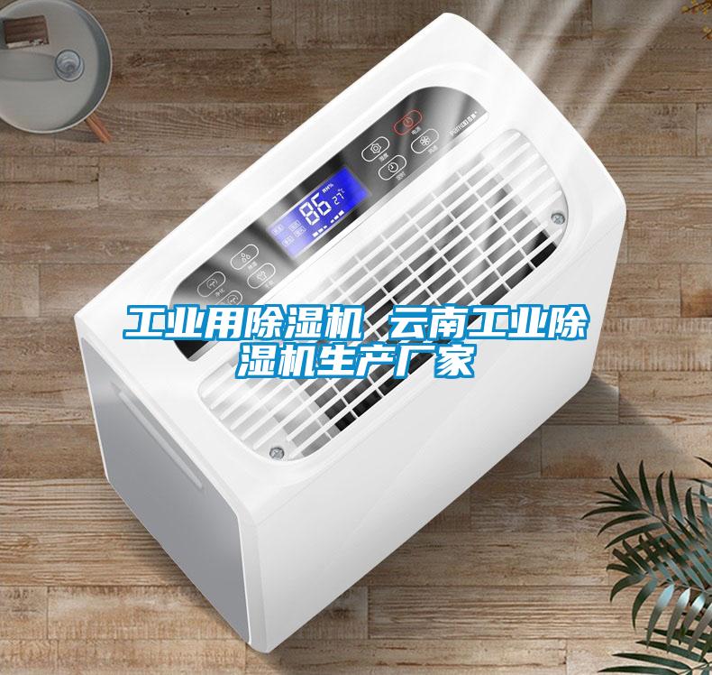 工業(yè)用除濕機(jī) 云南工業(yè)除濕機(jī)生產(chǎn)廠家