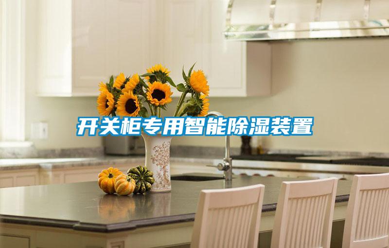 開關柜專用智能除濕裝置