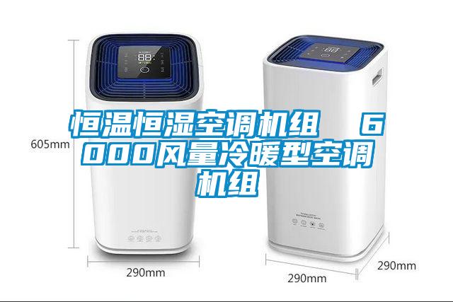 恒溫恒濕空調(diào)機組  6000風(fēng)量冷暖型空調(diào)機組