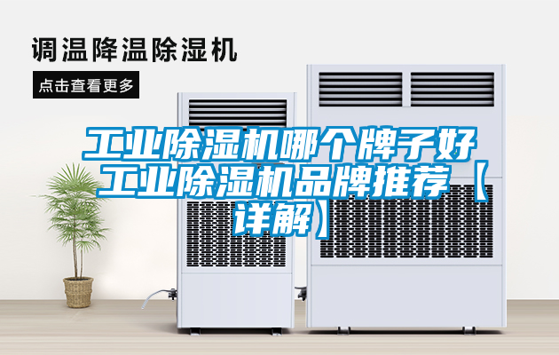 工業(yè)除濕機(jī)哪個牌子好 工業(yè)除濕機(jī)品牌推薦【詳解】