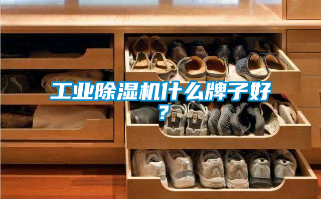 工業除濕機什么牌子好？