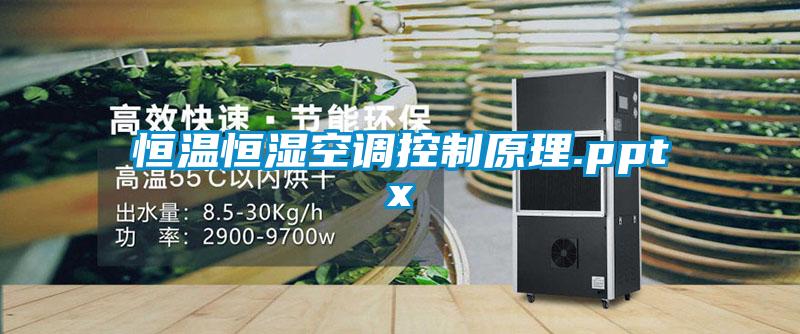 恒溫恒濕空調控制原理.pptx