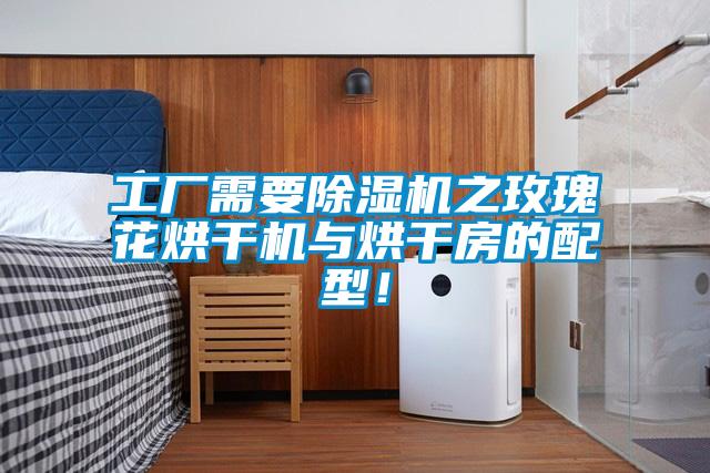 工廠需要除濕機之玫瑰花烘干機與烘干房的配型！