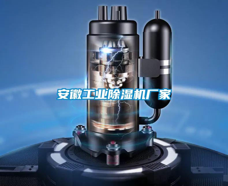 安徽工業(yè)除濕機廠家